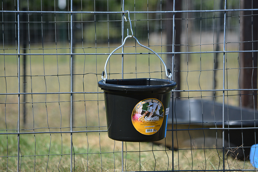 Sweetlix-Goat-Protein-Pail-Fenceline-web.jpg