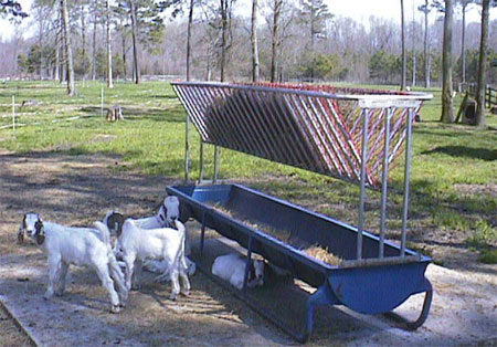 Sweetlix Tips For Goat Producers Dealing With Drought