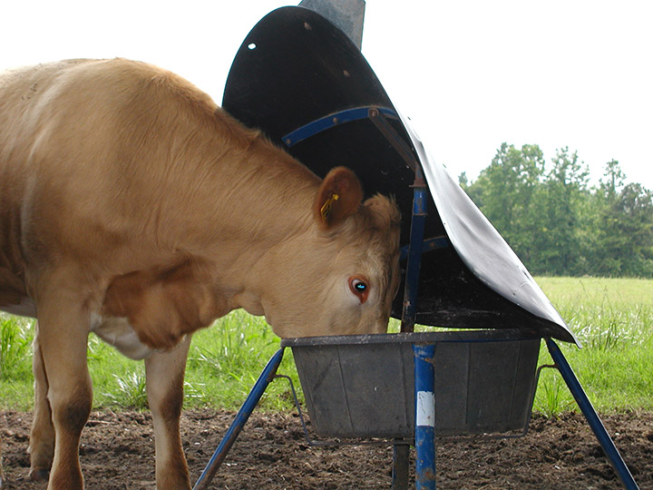 Mineral-Feeder-SLX-web.jpg